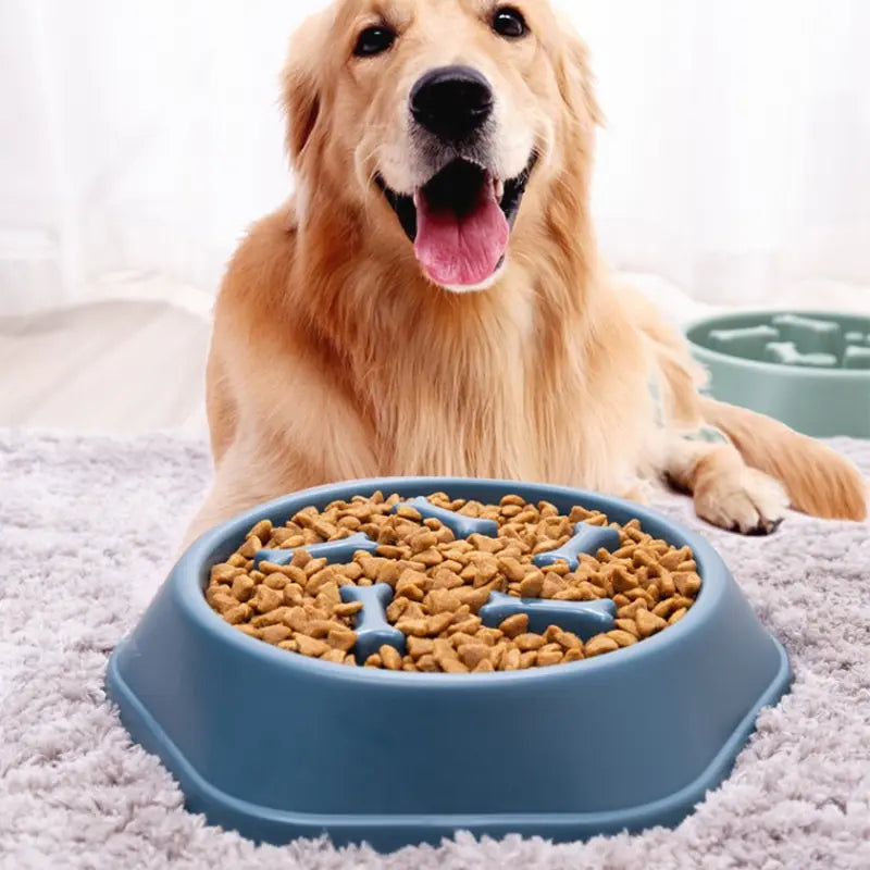 PawSlow™ Interactive Slow Feeder Bowl