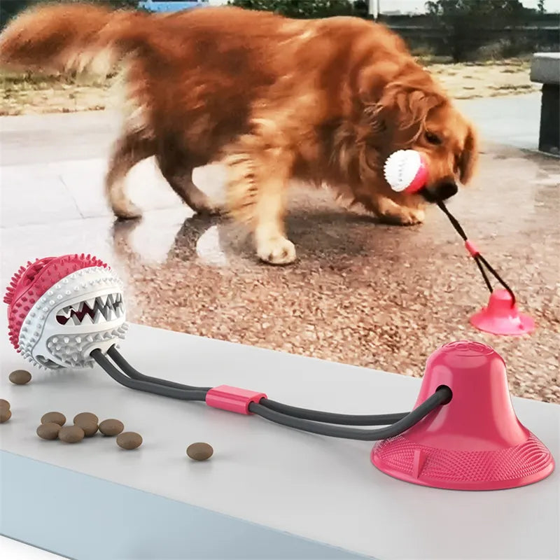 PawStick™ Interactive Suction Ball Dog Toy