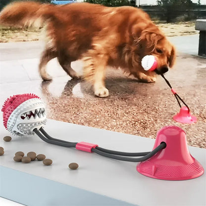 PawStick™ Interactive Suction Ball Dog Toy