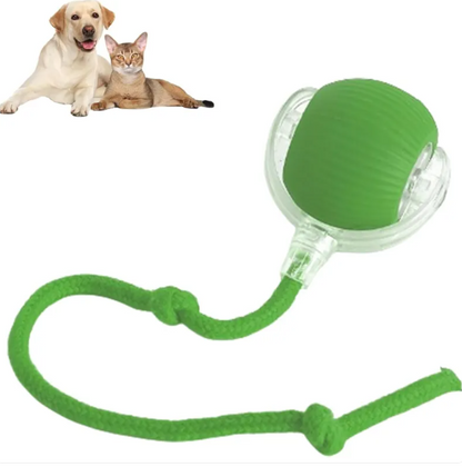 PawRoll™ Smart Interactive Rolling Ball