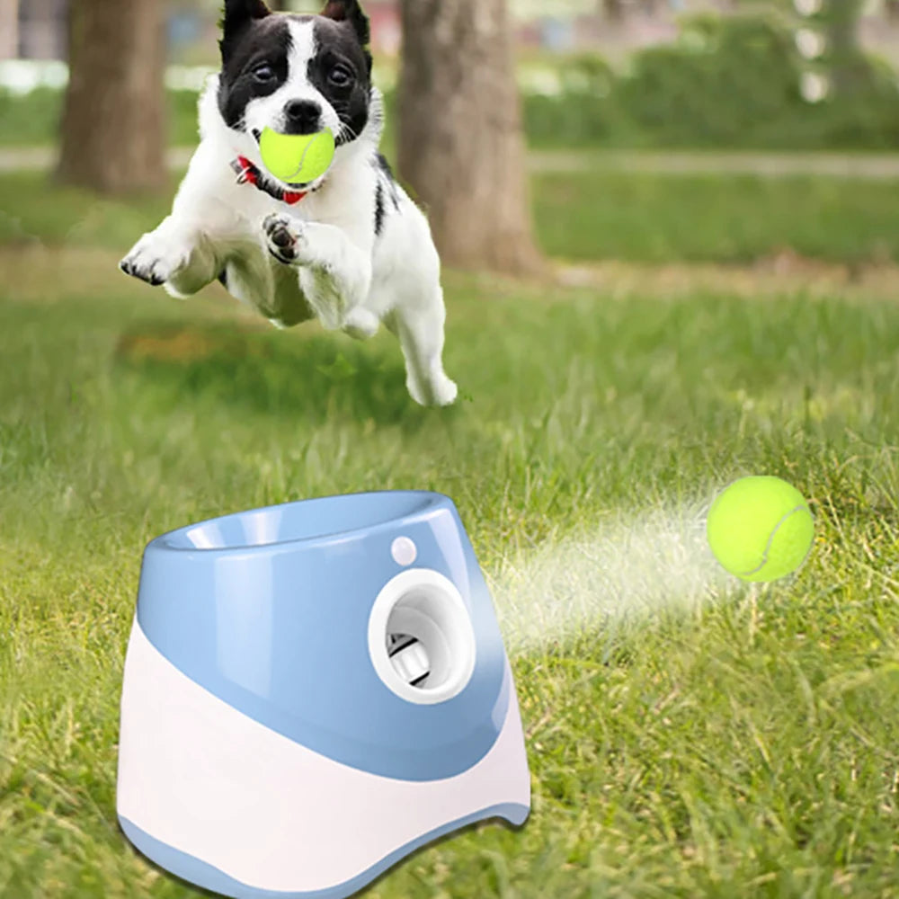 PawFetch™ Automatic Tennis Ball Launcher