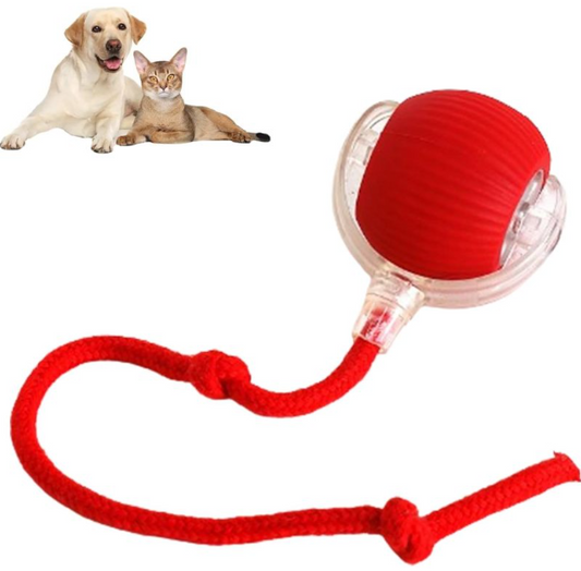 PawRoll™ Smart Interactive Rolling Ball