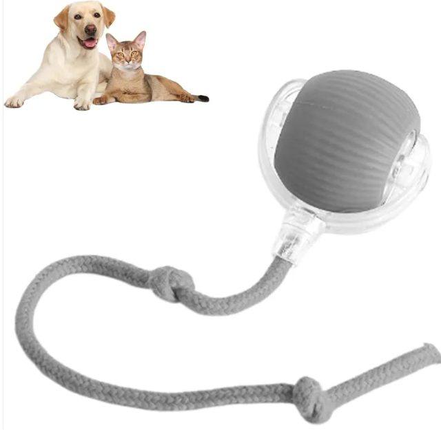 PawRoll™ Smart Interactive Rolling Ball