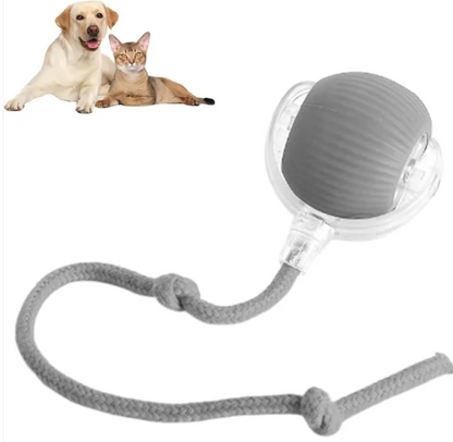 PawRoll™ Smart Interactive Rolling Ball