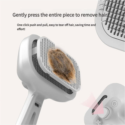 Steam-Powered Pet Brush