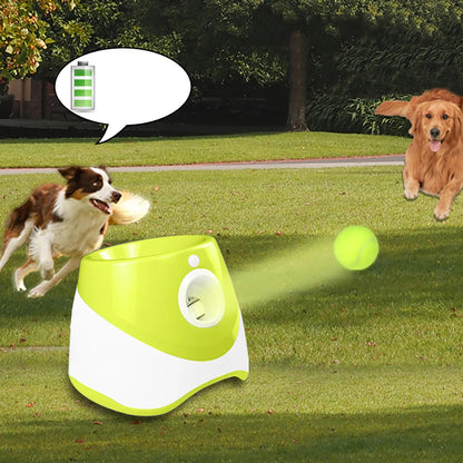 PawFetch™ Automatic Tennis Ball Launcher