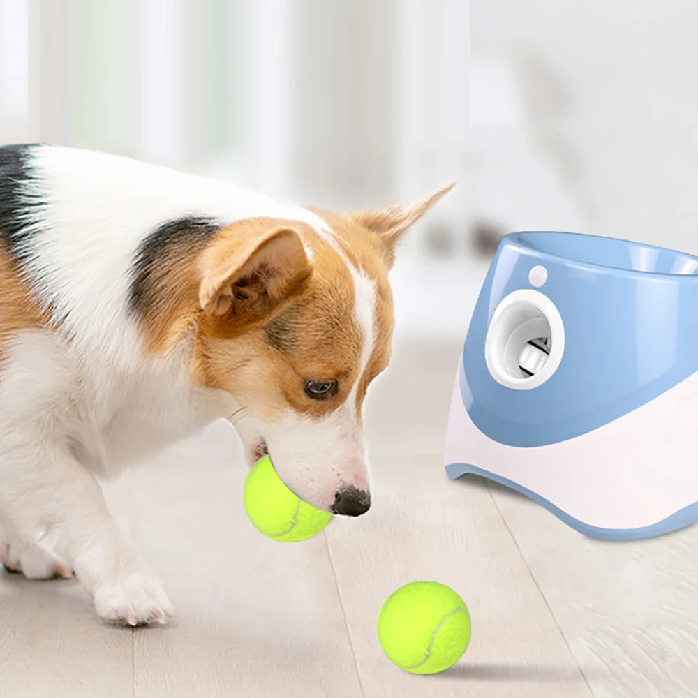 PawFetch™ Automatic Tennis Ball Launcher